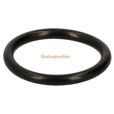 7404812-02 O-Ring Illustrasjonsfoto.jpeg