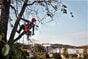 9678939-12_Rel 9678939-12---.jpeg